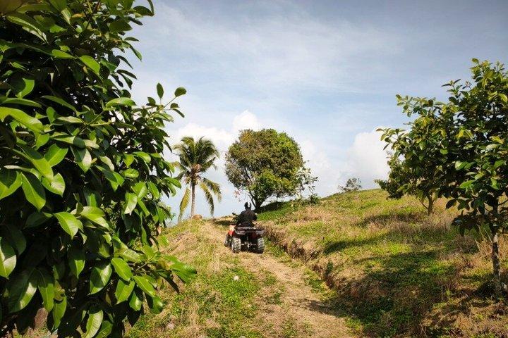 Excursion en VTT à Koh Samui - Jungle Off-Road Adventure