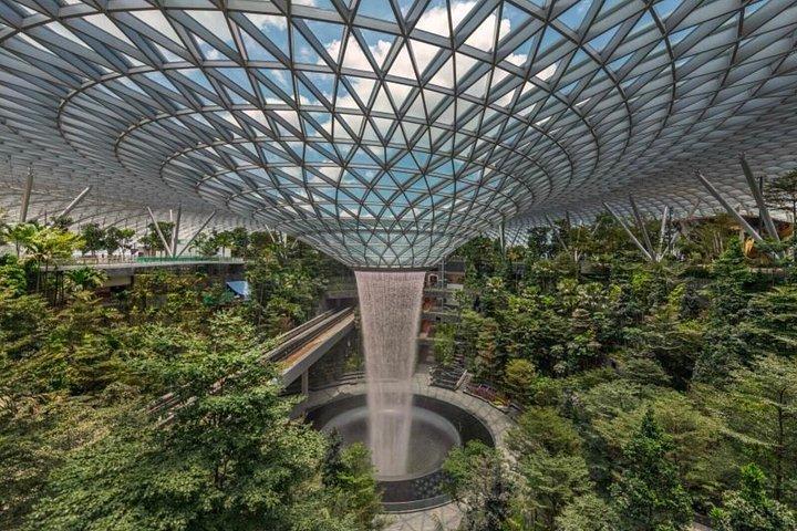 ジュエルチャンギ空港キャノピーパーク全入場券