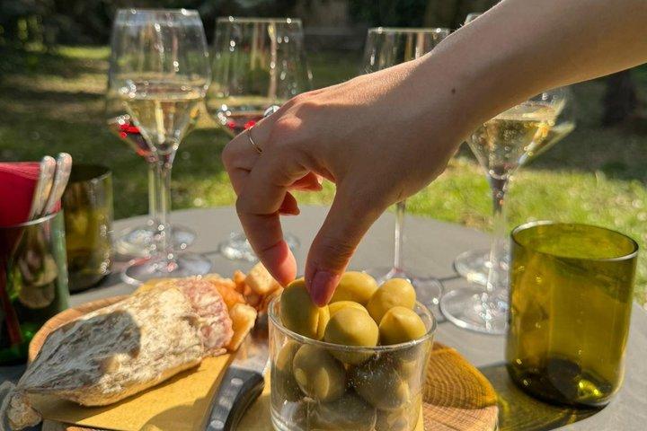 Dégustation de vins secrète dans un jardin caché à Vérone