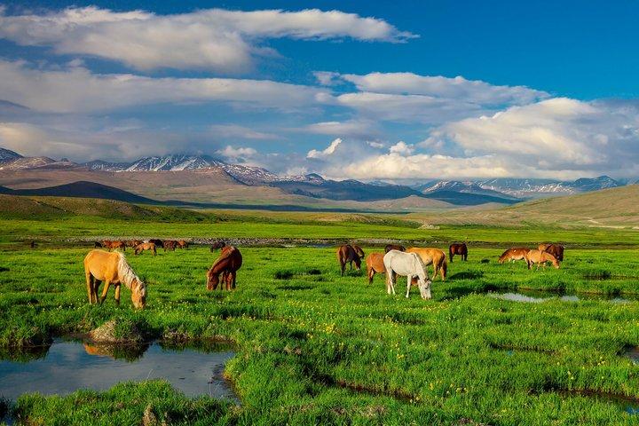 12 Giorni delle Meraviglie Pakistan Viaggio Culturale e Meraviglie del Nord