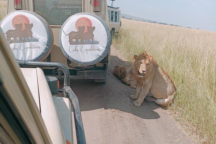 4-Day Tanzania Camping Safari