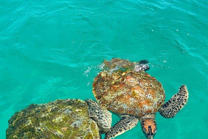 Redang Island Snorkeling Day Trip