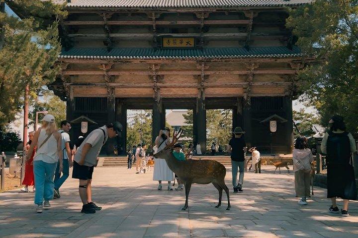 京都・奈良で文化の歴史とランドマークを体験
