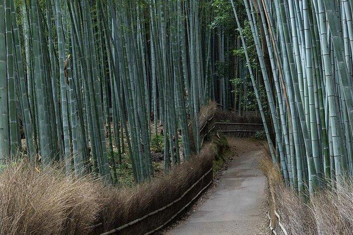 京都・奈良で文化の歴史とランドマークを体験