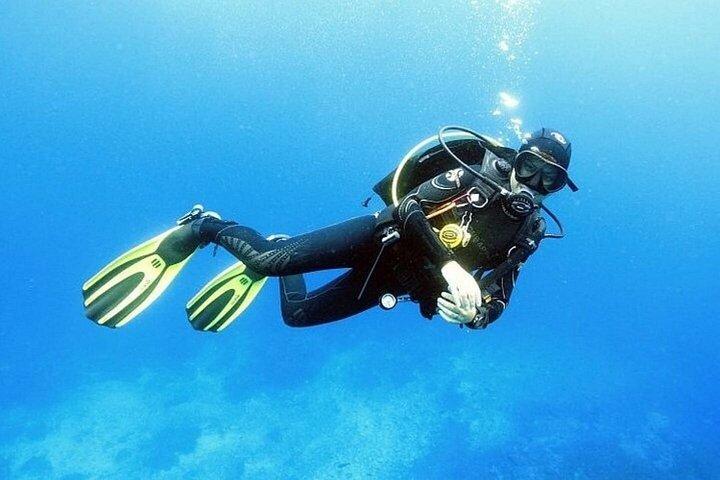 初心者のためのイントロダイビング2ストップ、ランチ付きクルーズ–フルガダ