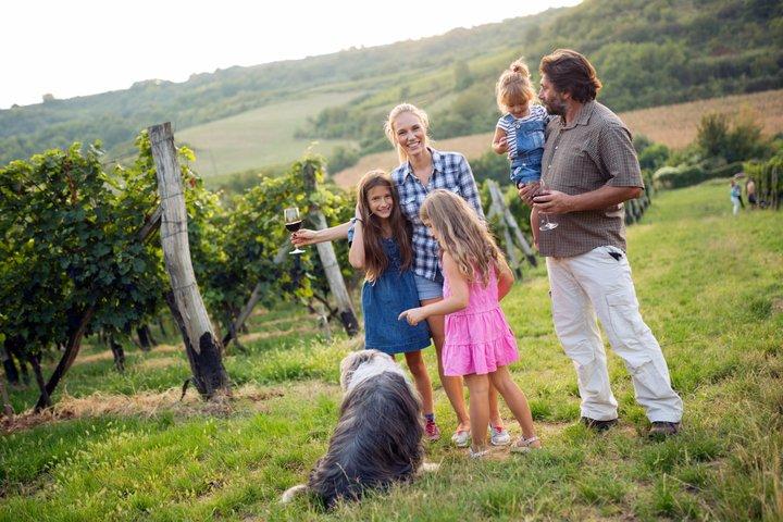 Tour Etna e degustação de vinhos em particular