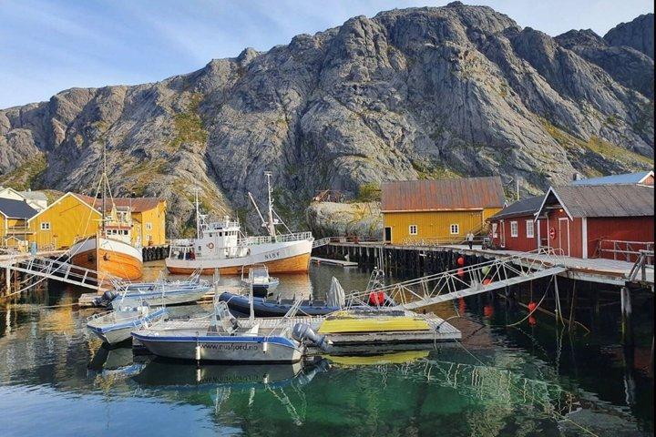 Private Lofoten gruppe tur fra Svolvær