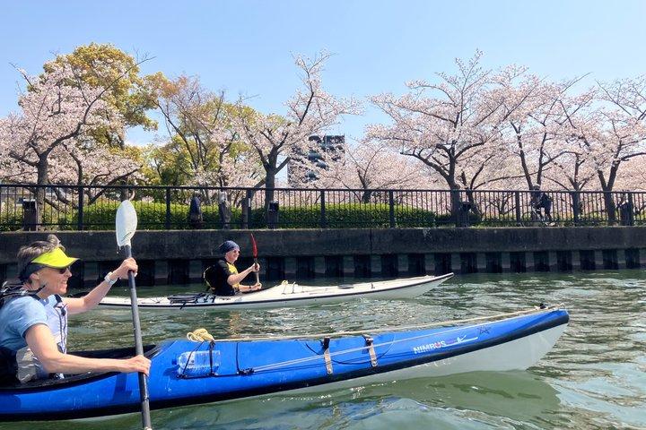Excursão de Kayak em Osaka City