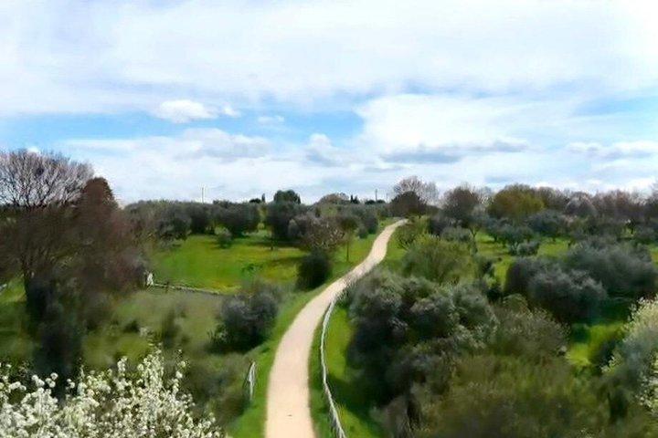 イトリア渓谷のトゥルッリを巡る自転車ツアー
