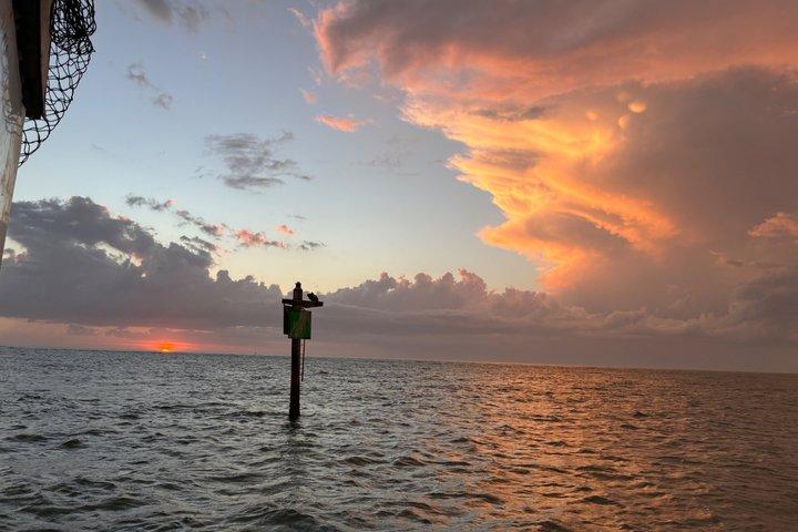 Zonsondergang & dolfijnentour St. Pete Beach