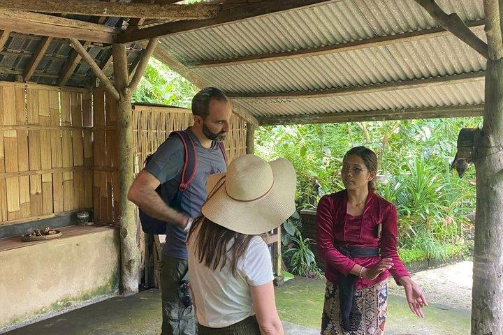 Gunung Kawi Temple Ubud Waterfall And Swing Private Guided Tour