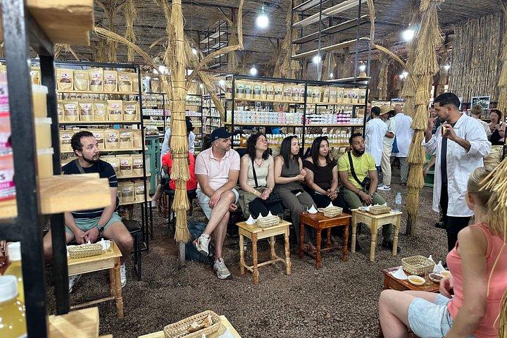 マラケシュ : オウリカバレーツアー、滝、ベルベルビレッジ＆ランチ