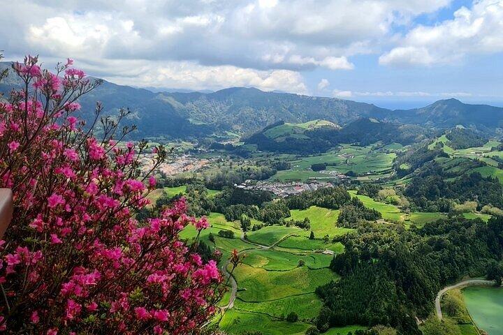 Furnas, te plantage, Vila Franca Campo Privat heldagstur