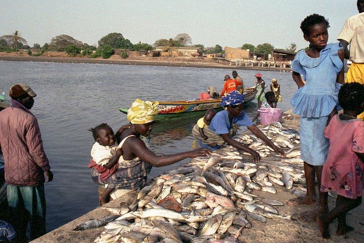 Tour of Dakar and Gorée Island