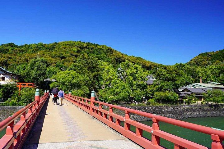奈良鹿公園、東大寺、宇治抹茶＆温泉日帰りツアー