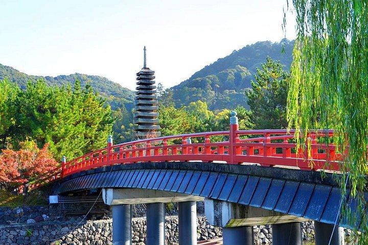 奈良鹿公園、東大寺、宇治抹茶＆温泉日帰りツアー