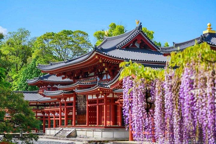 奈良鹿公園、東大寺、宇治抹茶＆温泉日帰りツアー