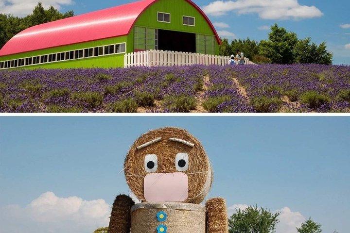 Blue Pond & Flower Fields Escape : Excursión de día completo a Furano y Biei