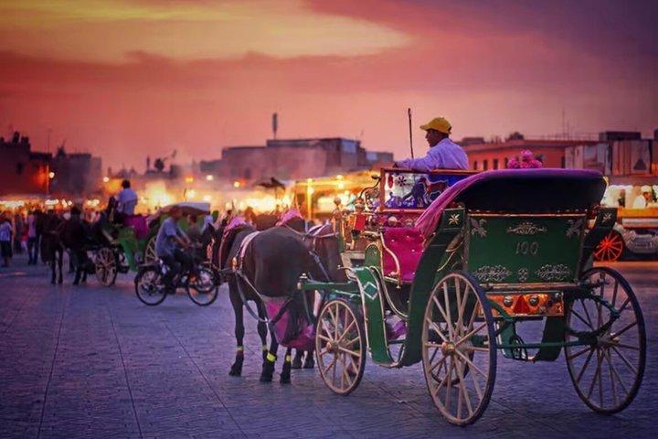Marrakech! 1 hour traditional horse - drawn carriage tour