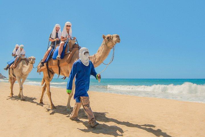 Camel Ride on Cabo San Lucas Beach with Lunch and Transfers