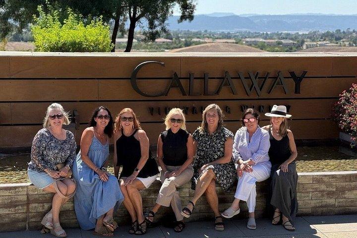 Temecula 3 Winery Tour Degustações e almoço incluído