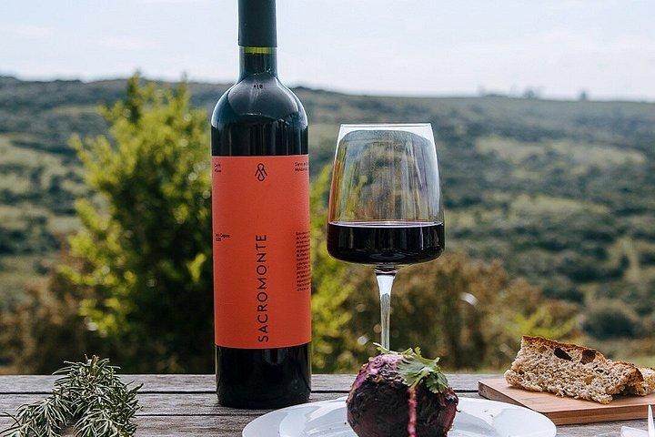 Sacromonte Wine Day Experience with Lunch and Private Transfer