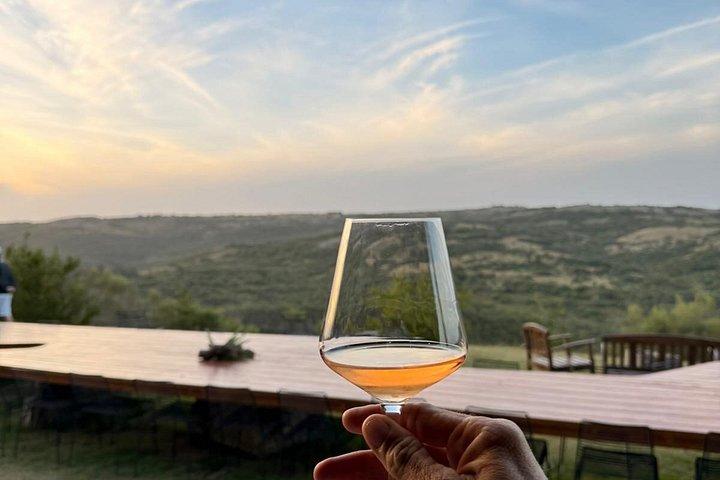 Sacromonte Wine Day Experience with Lunch and Private Transfer
