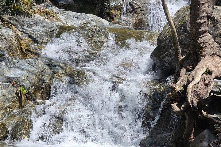 Troodos Mountains Jeep Tour with Wine Tasting