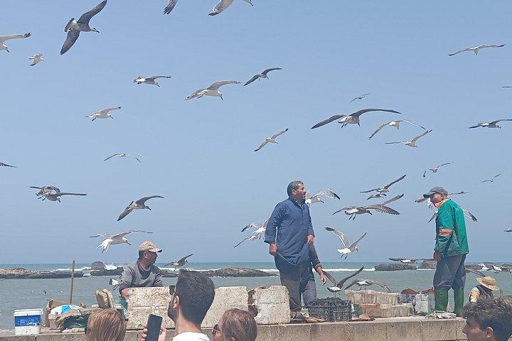 マラケシュからのエッサウィラ日帰り旅行