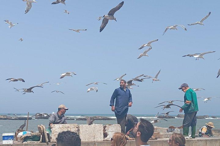 マラケシュからのエッサウィラ日帰り旅行