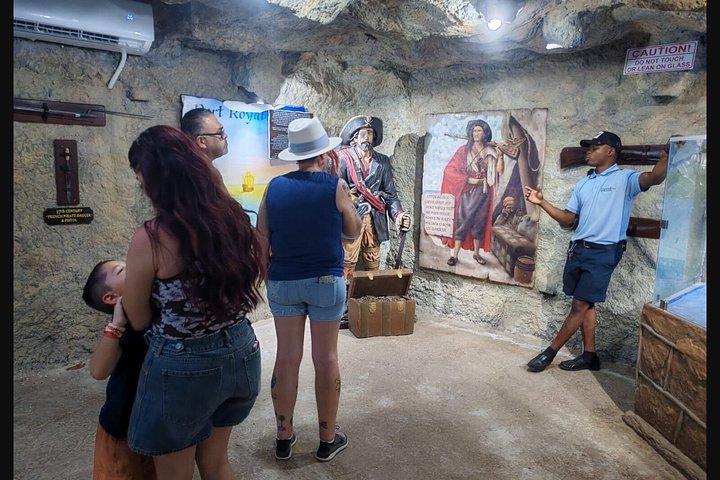 Crazy Clem Sloths, Monkeys & Island Adventure With a local guide
