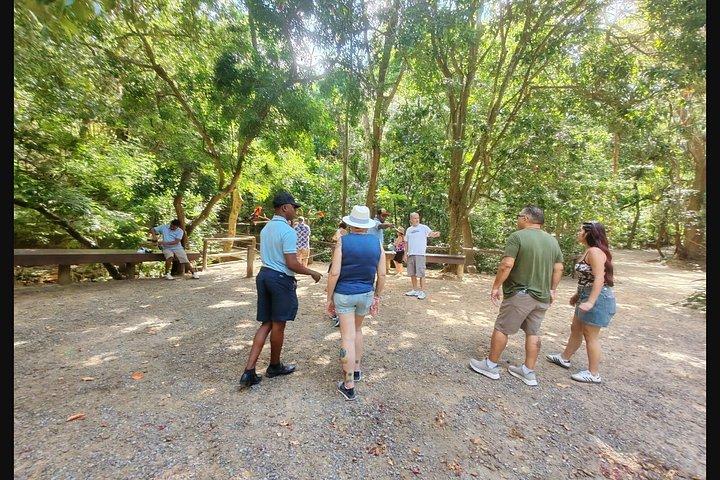 Crazy Clem Sloths, Monkeys & Island Adventure With a local guide
