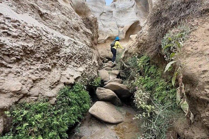 Incredibili slot Canyon al Pacifico