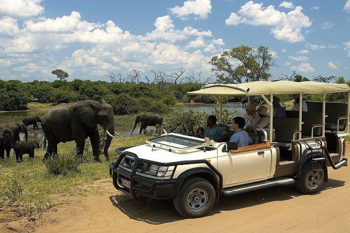 Crociera in barca Chobe di un'intera giornata e Game Drive Safari Experience