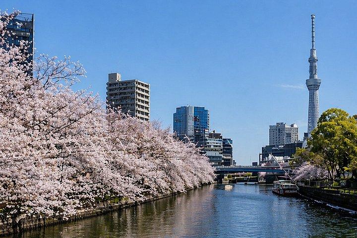 成田空港～東京 民間送迎ハイエースバン 最大9台