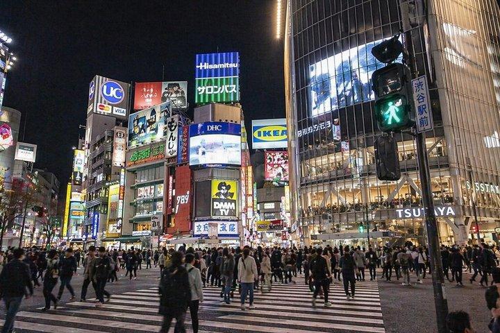 Flughafen Narita nach Tokio Privater Transfer Hiace Van Bis zu 9