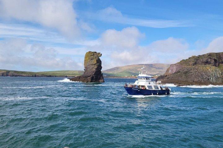 2-timers guidet mini-øko-tur i Dingle, Irland