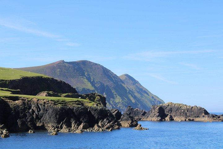 Aventuras en la manta de delfines Dingle