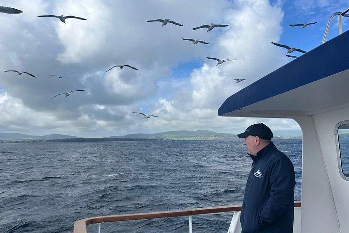 Aventuras en la manta de delfines Dingle
