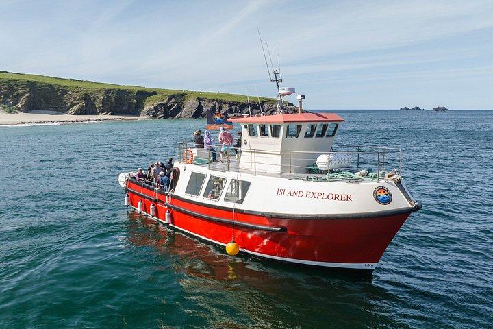 Aventuras en la manta de delfines Dingle