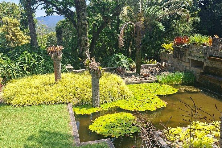 Landscape Experience in Rio: Inspired by Roberto Burle Marx