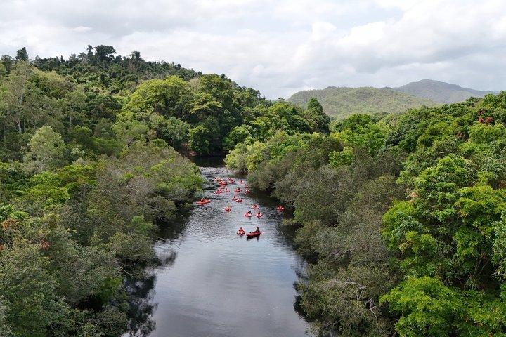 Rainforest River Tubing and Cairns Jetboating for 1 Day 2 Tours