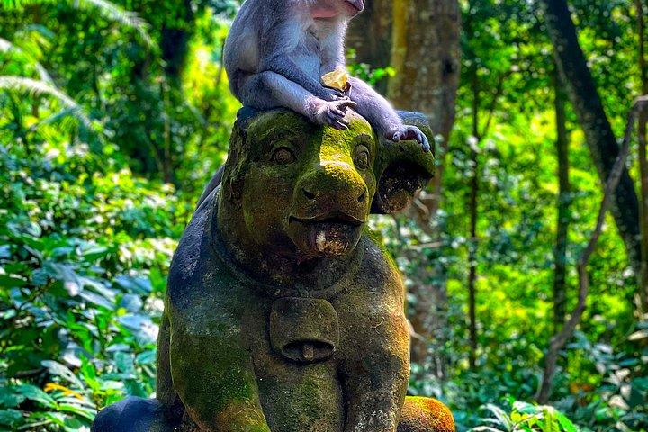 Ubud Highlights: Half-Day Private Cultural Escape