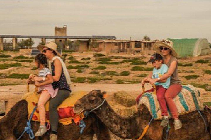 Agafay Desert Dinner and Camel Ride from Marrakech