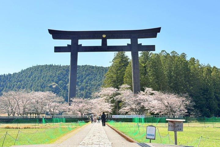 ユネスコ熊野古道 3つの神社＆那智ハイキングを満喫