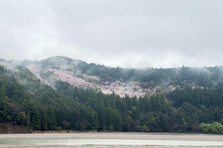 ユネスコ熊野古道 3つの神社＆那智ハイキングを満喫