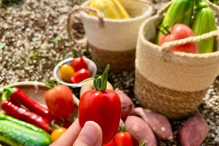 Seasonal Fruit Picking and Dream Cattle Farm Tour from Seoul