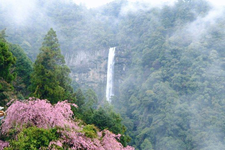 ユネスコ熊野古道 3つの神社＆那智ハイキングを満喫