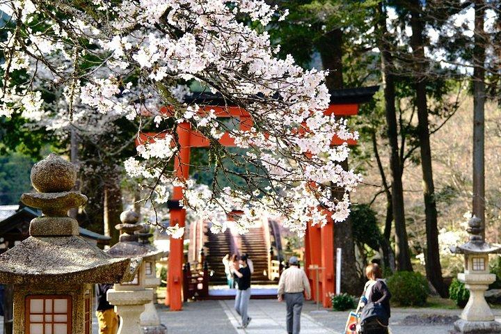 高野山ユネスコツアー：ライブ護摩火の儀式＆隠し神社