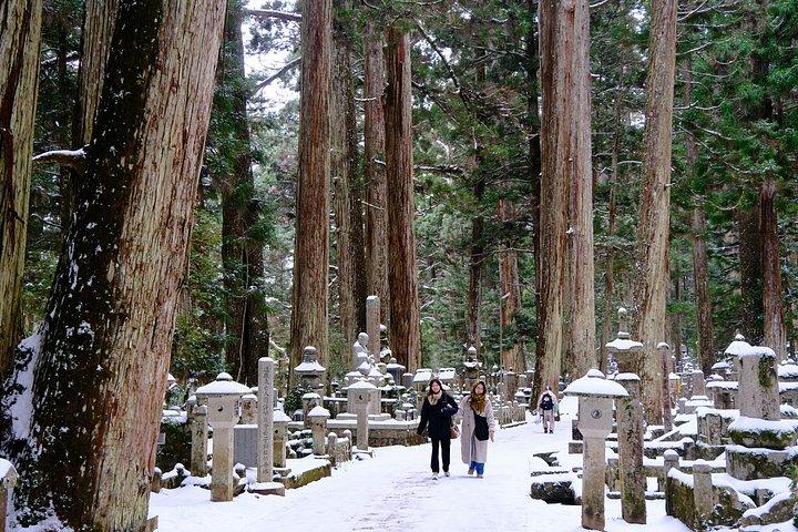 高野山ユネスコツアー：ライブ護摩火の儀式＆隠し神社